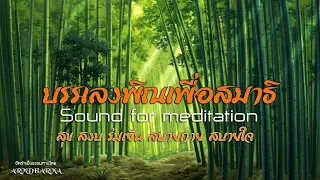 บรรเลงพิณเพื่อสมาธิ : Sound for meditation