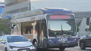 LA DOT and Dash buses face safety concerns