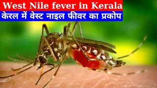 West Nile fever in Kerala | केरल में वेस्ट नाइल फीवर का का प्रकोप I Anil Kumar Tiwari