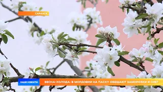 Весна-холода: в Мордовии на Пасху обещают заморозки и снег