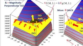 Linear Programming (How Lagrange Multiplier Works, Production Function, Visua Understanding)