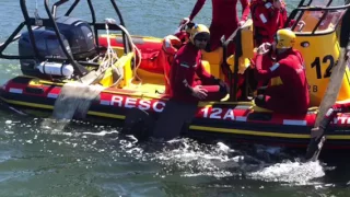 Knysna NSRI dedicated  volunteers assisting stranded Whale shark