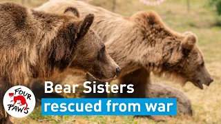 Meet the bear sisters rescued from war
