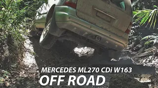 Mercedes Benz M-Class ML270 W163 Off Road. Tires - BFGoodrich All-Terrain T/A KO2