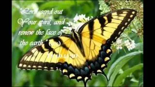 Responsorial Psalm - Psalm 104 "Praise of God the Creator"