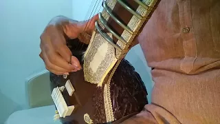 Sitar Basic Lesson # 1 - Sa re ga ma With Chikari