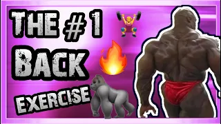 THE BEST BACK EXERCISES FOR MUSCLE GROWTH - ULTIMATE TIER LIST