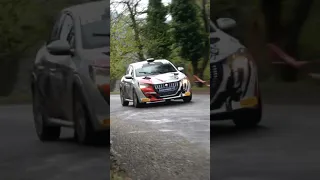 208 Rally 4 Limits #flat #automobile #car #cars #motorsport #rally #sound #racing #rallye #peugeot