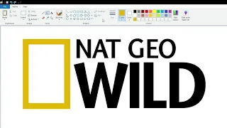 How to draw the Nat Geo Wild logo using MS Paint | How to draw on your computer