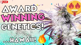 🔴 NEW FIRE STRA!NS FROM HAWAII!! 🤩