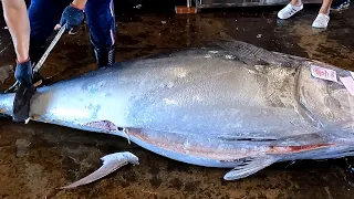 The Dreaded Cutting Skill of 402kg Bluefin Tuna