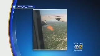 Plane Engine Catches Fire; Bird Strike Blamed