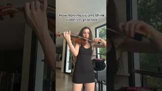 How Non-Musicians Think Violinists Practice VS How Violinists Actually practice