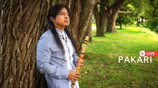 Pakari - Live concert with instrumental Native music