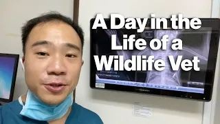 A Day in the Life of a Wildlife Vet | #TheGreatIndoorsWRS