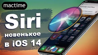 Siri в 20 раз умнее в iOS 14