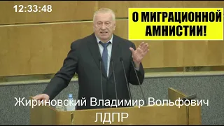 В.В.  Жириновский и Председатель Госдумы РФ В.В. Володин о МИГРАЦИОННОЙ АМНИСТИИ В РОССИИ