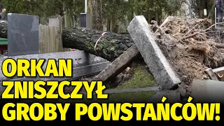 Orkan Eunice zniszczył kwatery powstańcze. Nawałnica na Powązkach Wojskowych l Niezapomniani