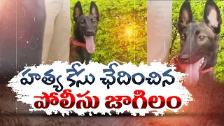 హత్యకేసు ఛేదించిన పోలీస్‍ కుక్క తార | Police Dog Tara Tracks Down Murderer | Chasing Him 8 Kilometre