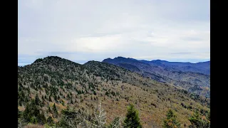 Black Mountain Crest Trail...and more! - Pisgah National Forest, NC