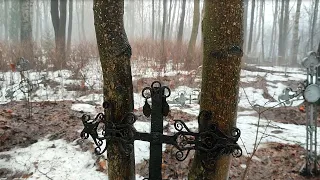 Редкие кресты! Старое Колбинское лютеранское кладбище. (Лен.обл).