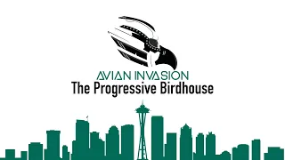 Progressive Birdhouse - July 26, 2021