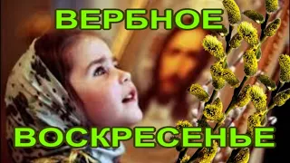 17 апреля Вербное Воскресенье🙏Поздравление с праздником🎶Очень красивая песня💖Открытка для друзей