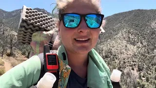 PCT 2022: Day 44 (nearing the end of the desert)