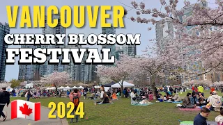 🇨🇦🌸 Vancouver Cherry Blossom Festival 2024 | David Lam Park | Vancouver Vlog | March 30, 2024