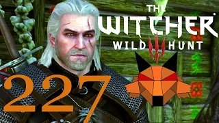 Let's Play Witcher 3: Wild Hunt [Blind, PC, 1080P, 60FPS] Part 227 - Drahim Castle