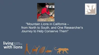 Mountain Lions in California – from North to South, & One Researcher’s Journey to Help Conserve Them