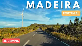 Driving in Madeira 4K | Middle Part - Fanal, Paúl da Serra - March 2024