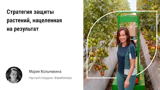 🏃‍♀️ Стратегия защиты тепличных растений, нацеленная на результат. Патогены светокультуры, препараты