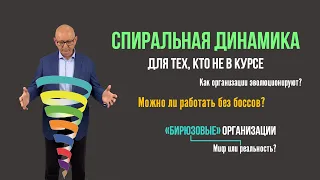 Спиральная динамика. Бирюзовые организации. Управление изменениями