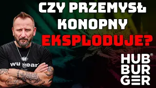 Kryptowaluty x NFT x Konopie czy to ma sens? Potencjał branży konopnej - Hubburger x Liroy