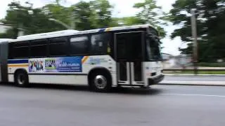 Bee-Line Bus : Neoplan AN460 #531 on the 20 at Woodlawn Station