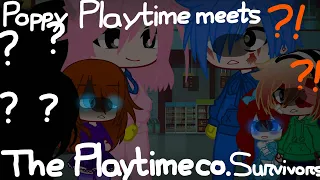 Poppy Playtime meets The Playtime co. Survivors || Part 1/1 || Original || Lazy || Gacha Club