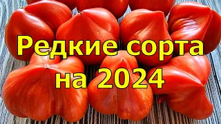 УВИДЕЛА И ОБОМЛЕЛА, НОВЫЕ ИНТЕРЕСНЫЕ СОРТА ТОМАТОВ НА 2024 ГОД