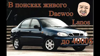 Подбор DAEWOO LANOS Бюджет до 4000$ Первое Авто клиента.