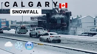 Calgary Snowfall, Alberta, Canada ❄️🌧️🥶🇨🇦