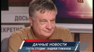 Наше время: «Дачные новости»