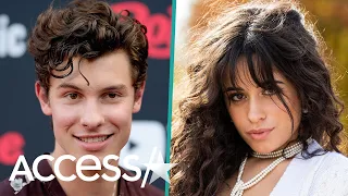 Shawn Mendes And Camila Cabello Made Their Relationship Official On This Major Holiday