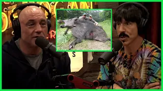 Joe Rogan Tells Anthony Kiedis Why Wild Boar Need To Be Hunted