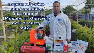 Перша обробка виноградника від хвороб по 3-5 листу 2024