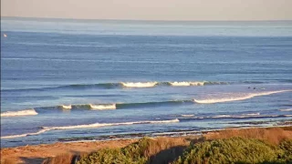 Surfers Exit Water after Possible Shark Sighting at Upper Trestles