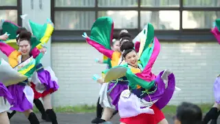 2024 北大祭大乱舞 コンサフリーク〜北海道武蔵女子学園〜