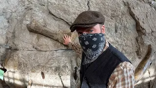 Touch real dinosaur bones at Dinosaur National Monument - Utah