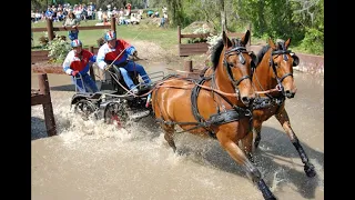 THE LAURELS AT LANDHOPE •  COMBINED DRIVING EVENT (CDE)