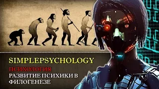 Психология. Развитие психики в филогенезе.