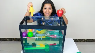 Sink or Float with Shfa ! | Fun Science Experiment for Kids | Educational Videos For kids